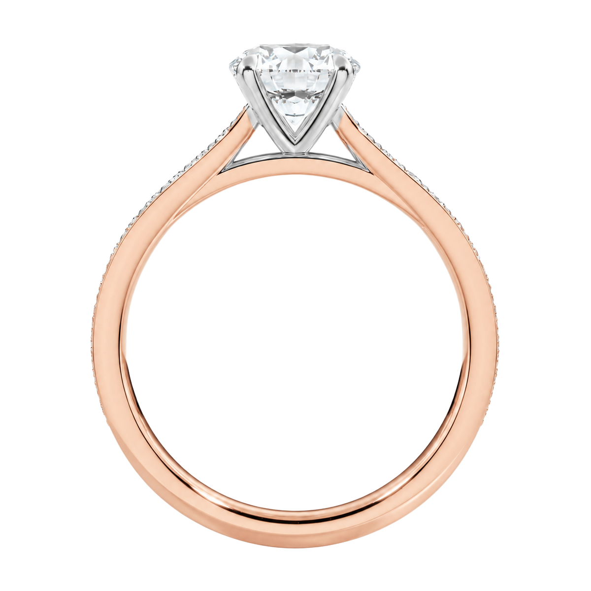 Talia - Radiant - Rose/White Tone - Channel